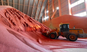 Урожай под защитой: как в России развивается производство агрохимии